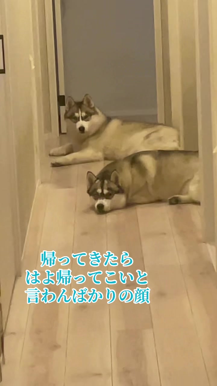 @サン☀️とムーン🌙