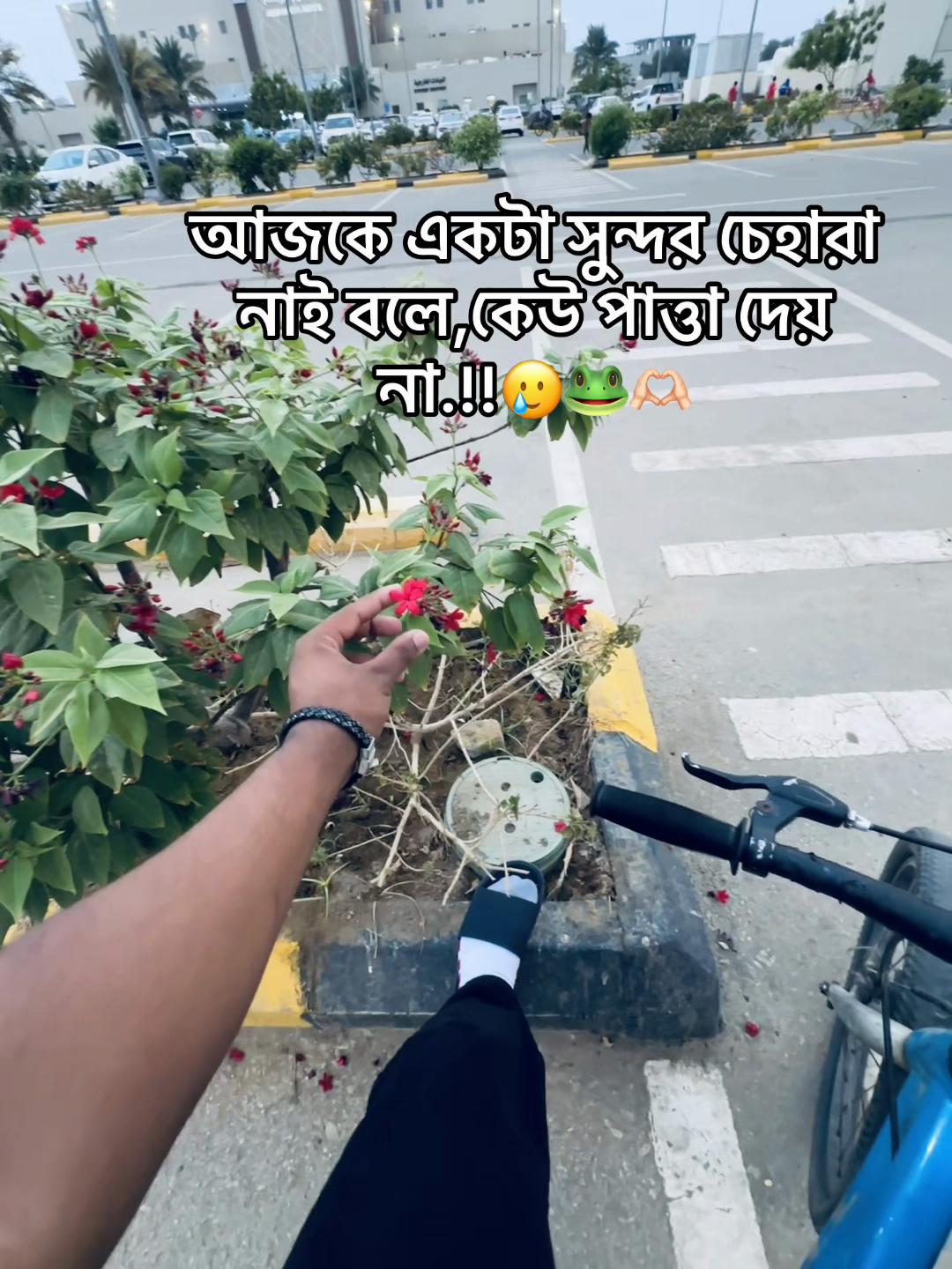 @đ¸đĻSUMON īŖŋ