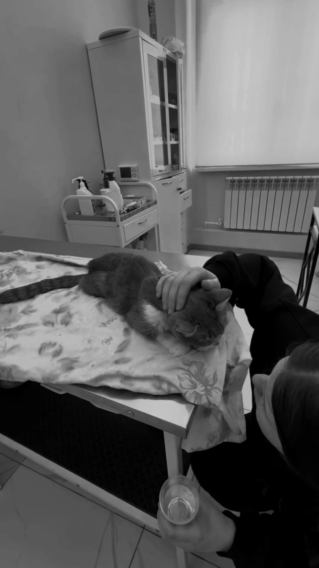 @кудряшка