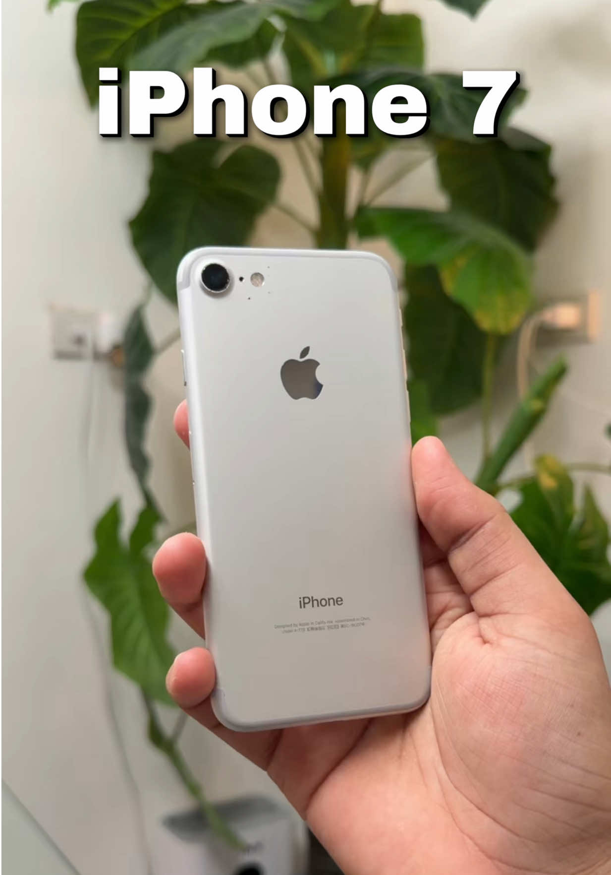 @iPhonary 🩷