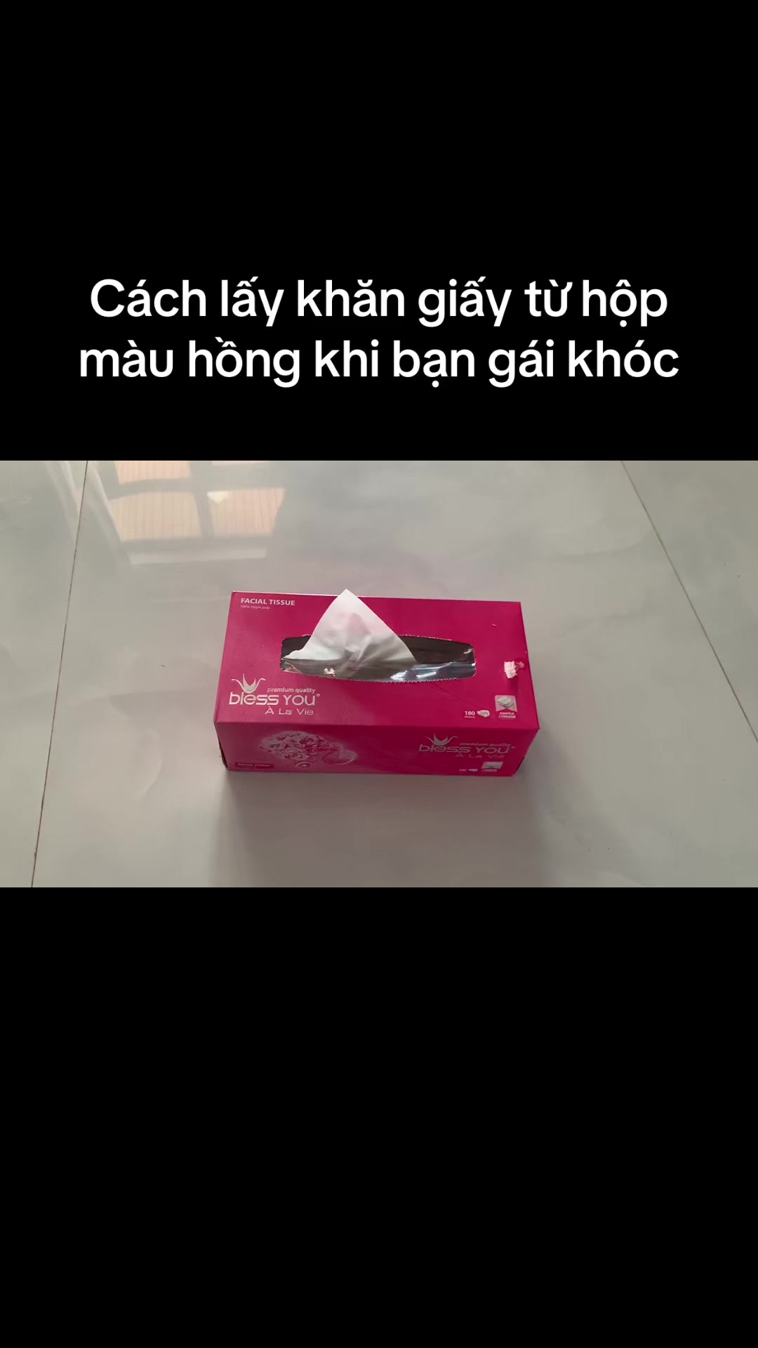 @Mèo thông thái