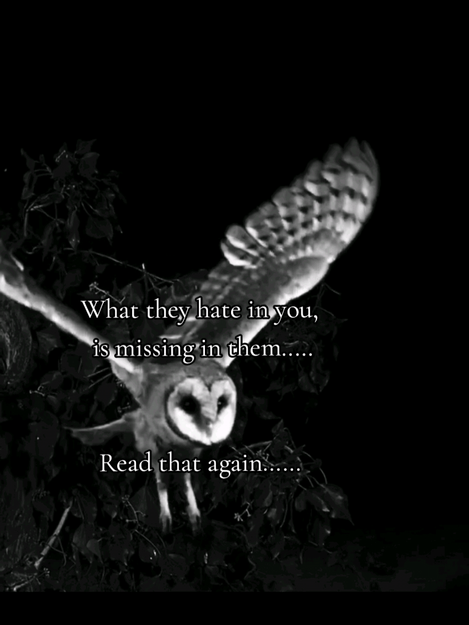 @Birddaddy🦜🦉🦅