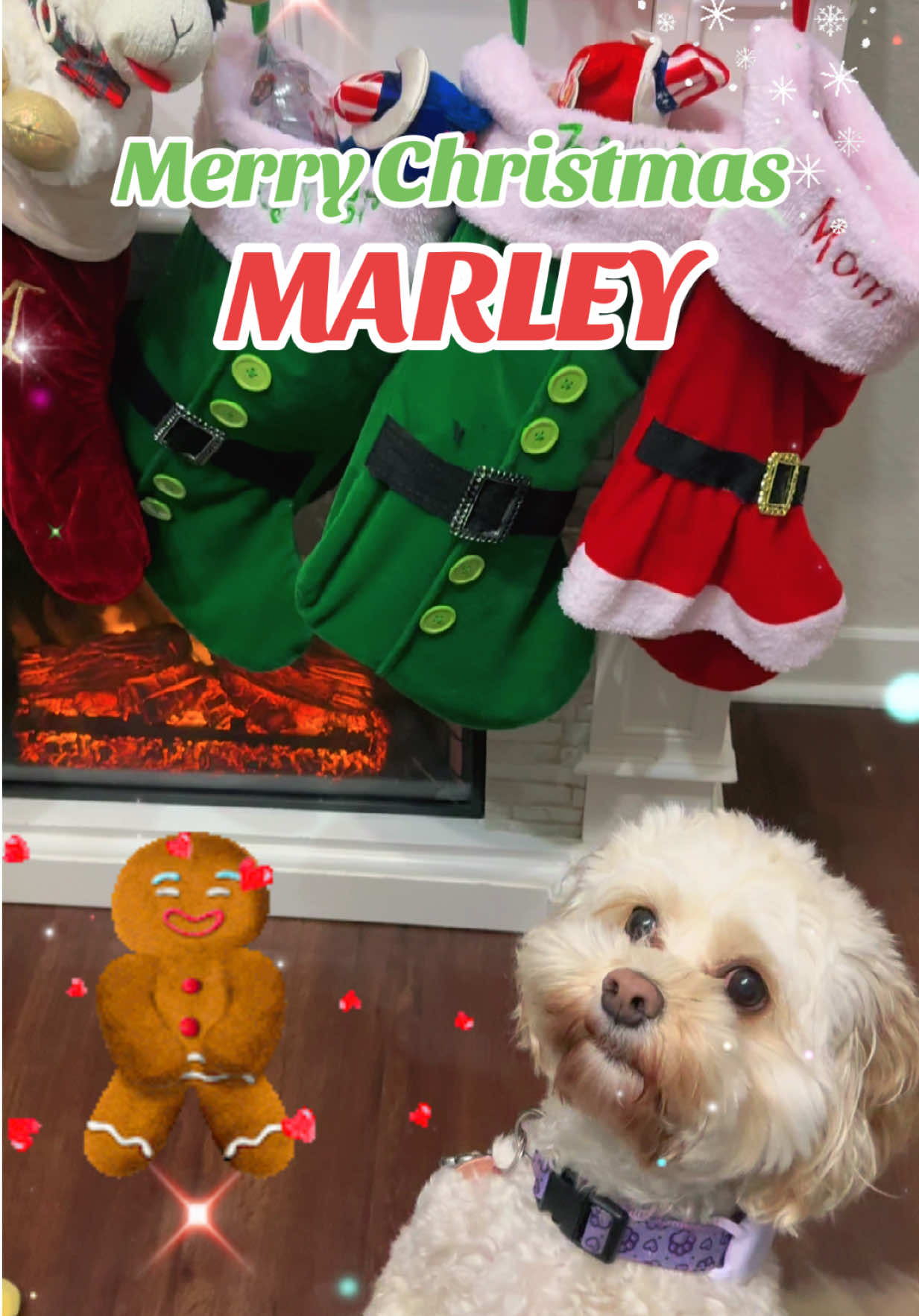 @MommingWithMarsha