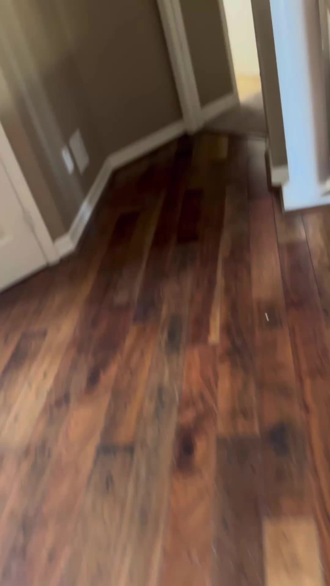 @RedmannFive