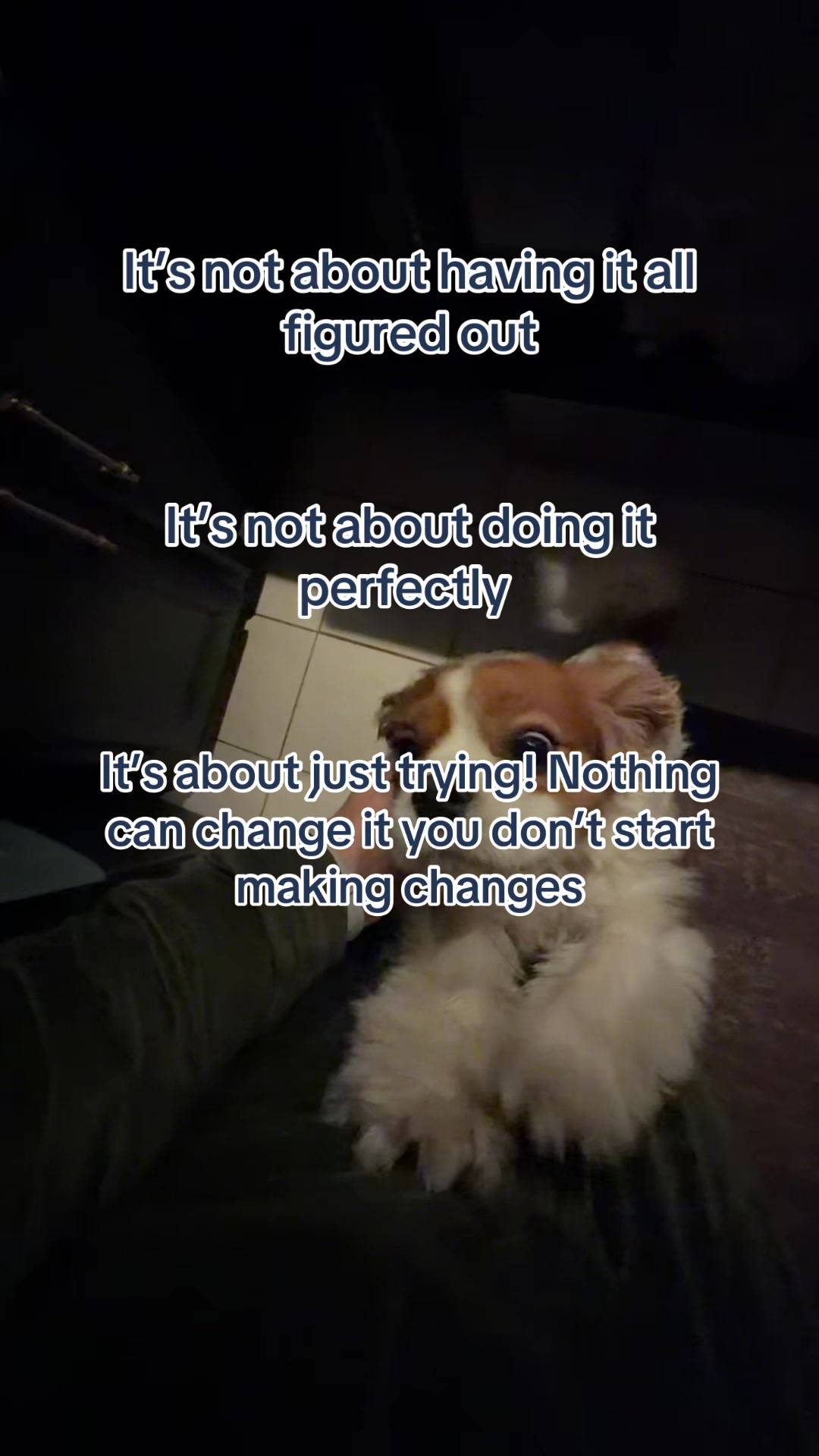@HomeEdit