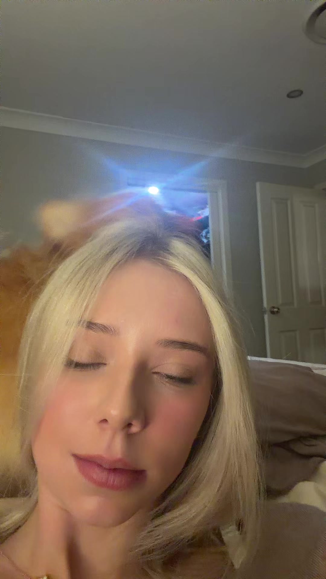 @notyallahsteph