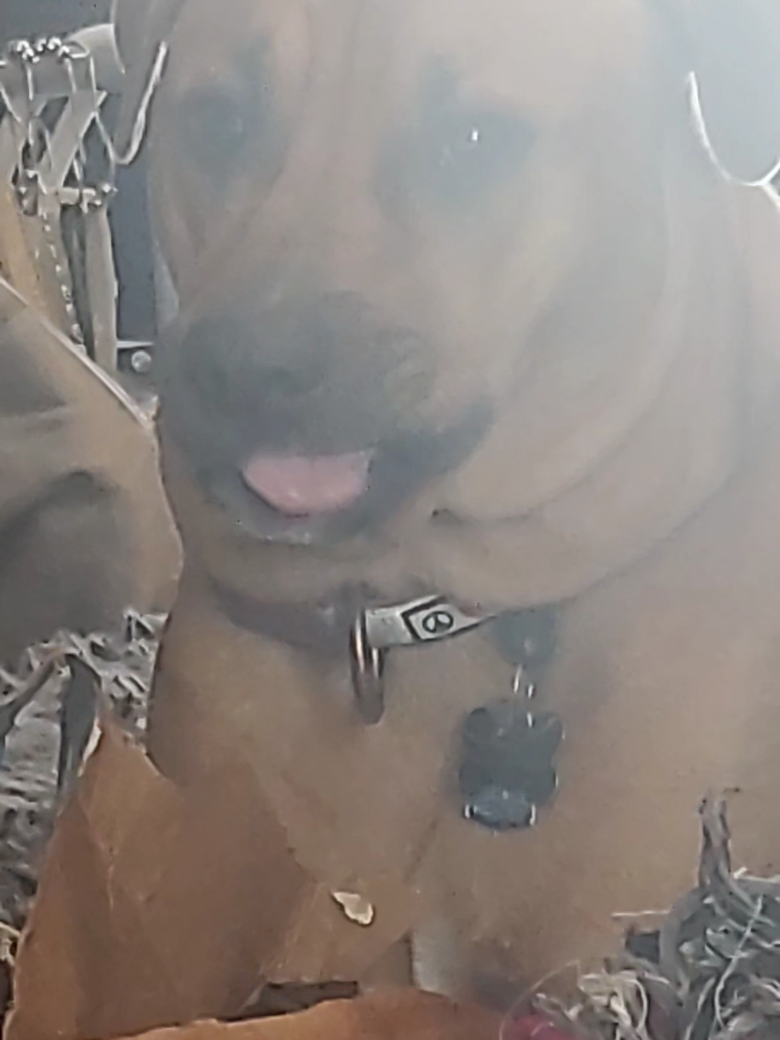 @Kane the friendliest Pit