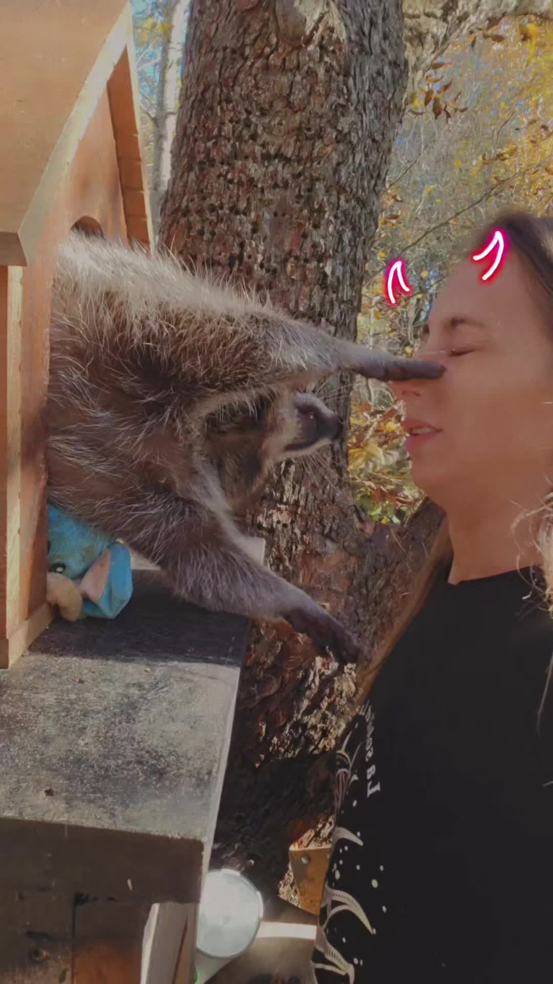 @💜🦝ThatLadyKtBaby🦨💚