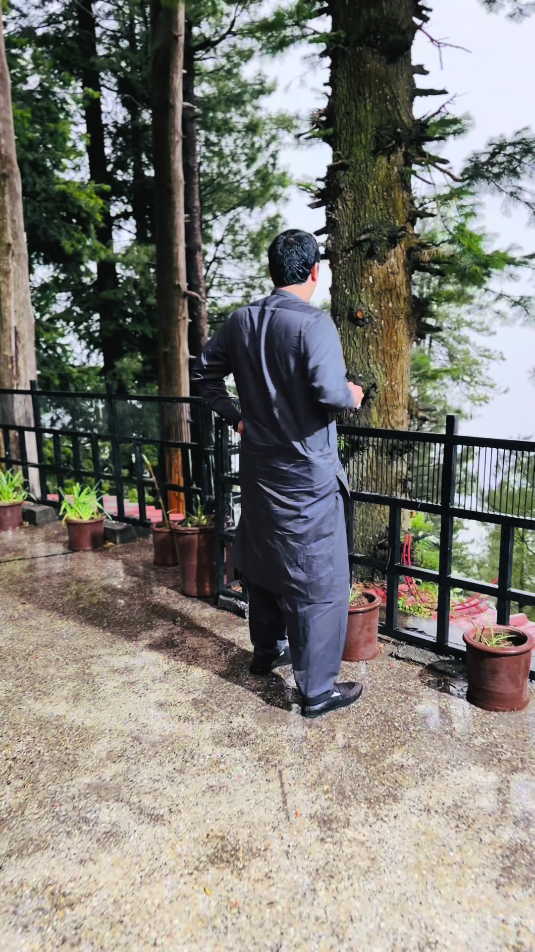 @ziddimohmand