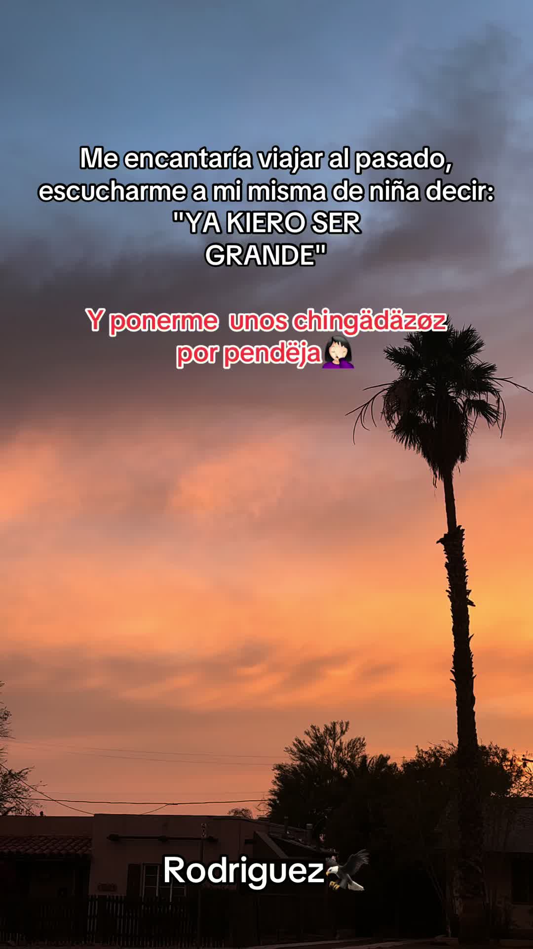 @๐๐R๐๐