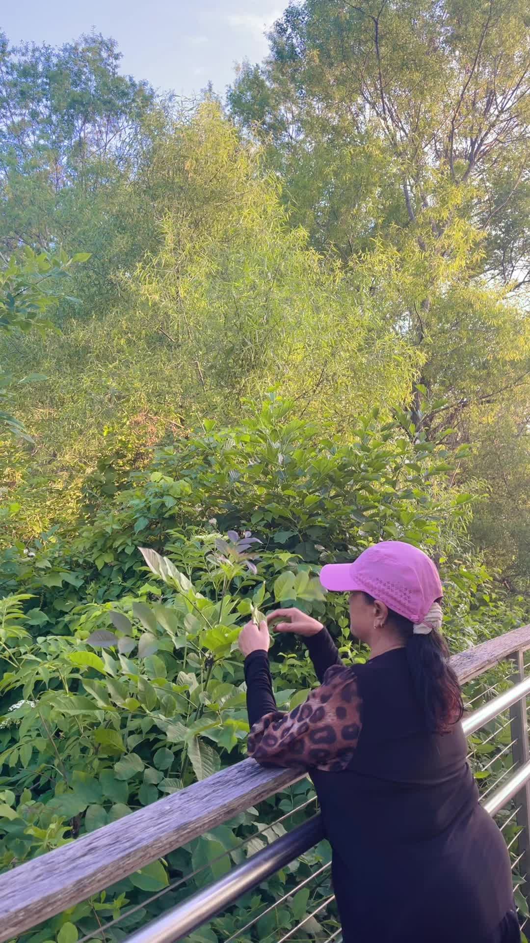 @Dil Kumari Pun