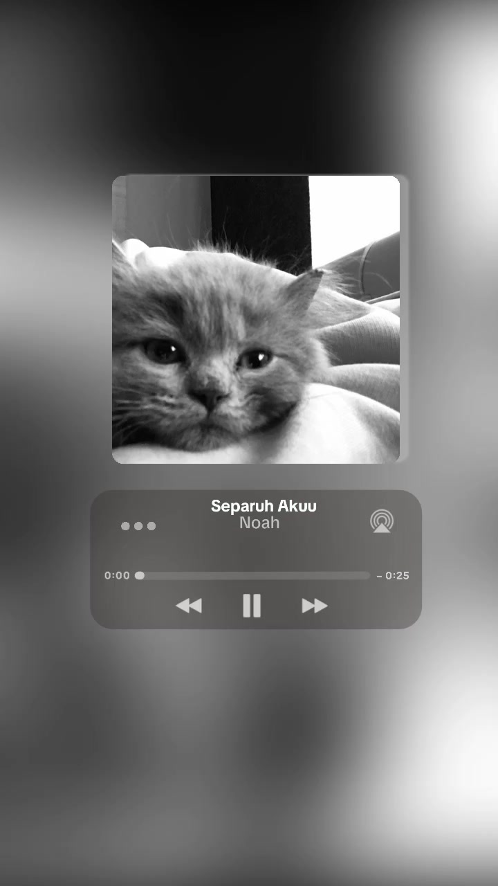 @lirikmusic