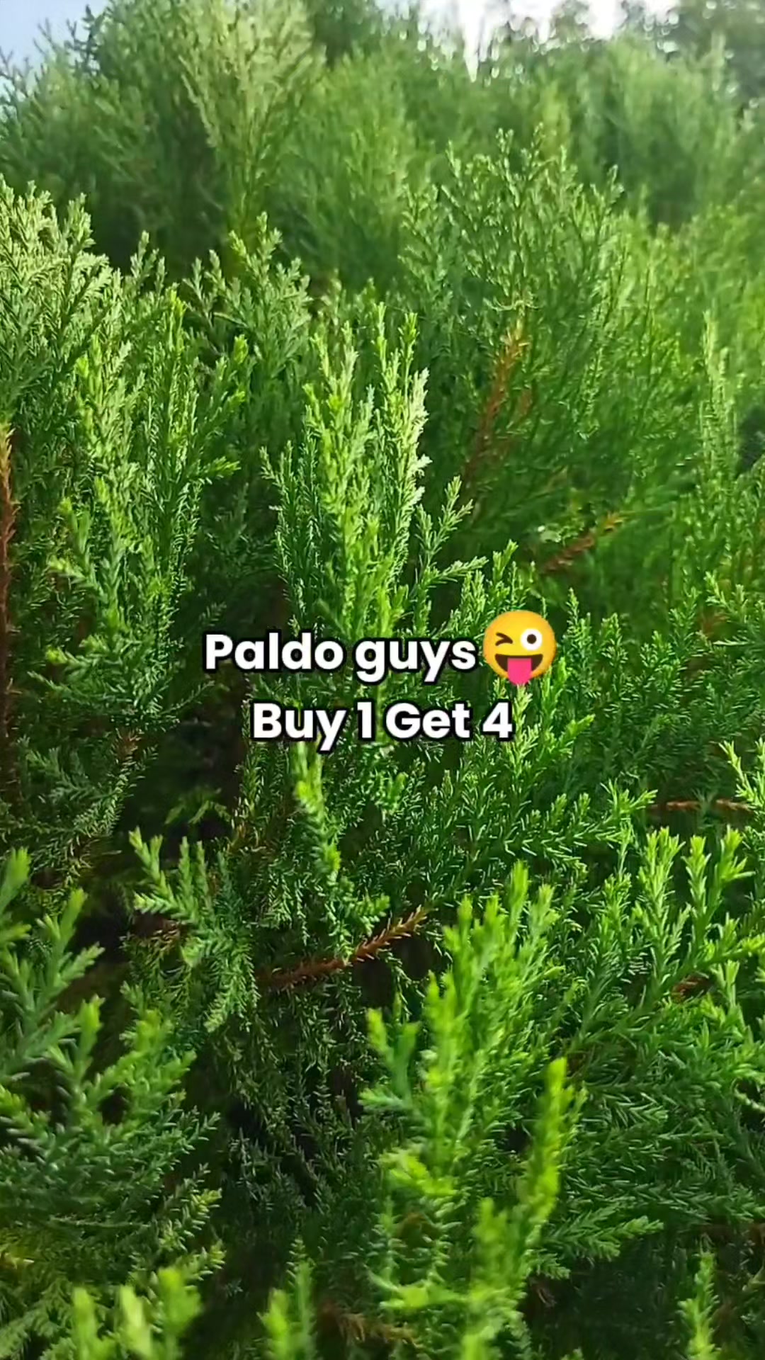 @𝗥𝗮𝗻𝗱𝗼𝗺𝗮𝘁𝗶𝗰_𝗣𝗛