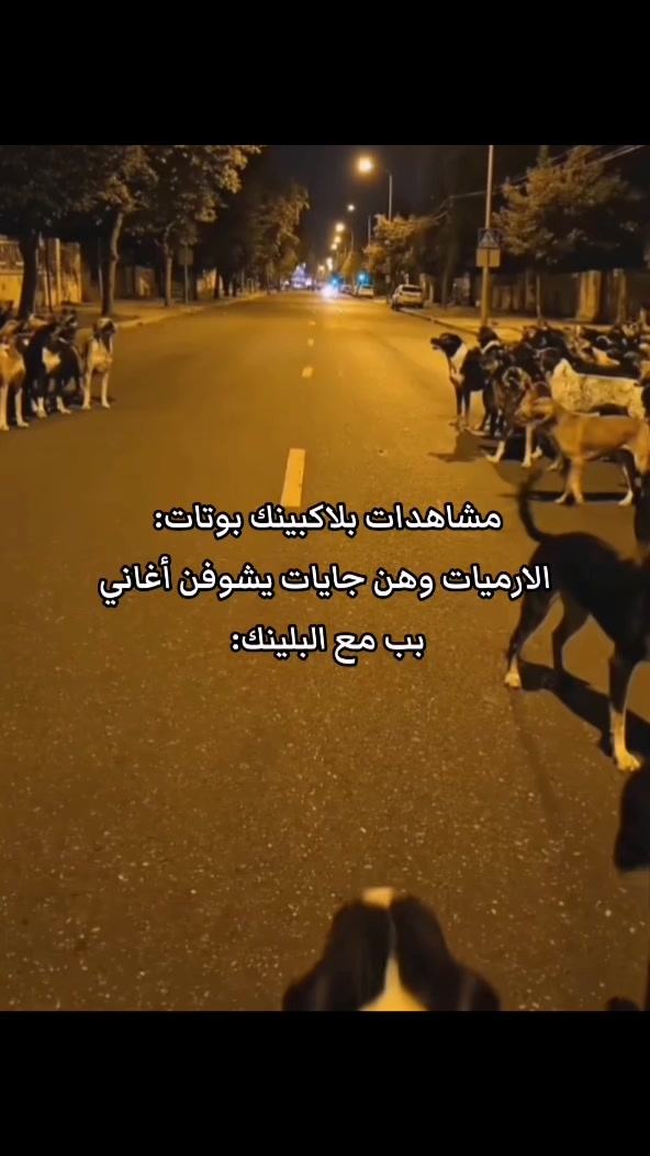 @صحراء