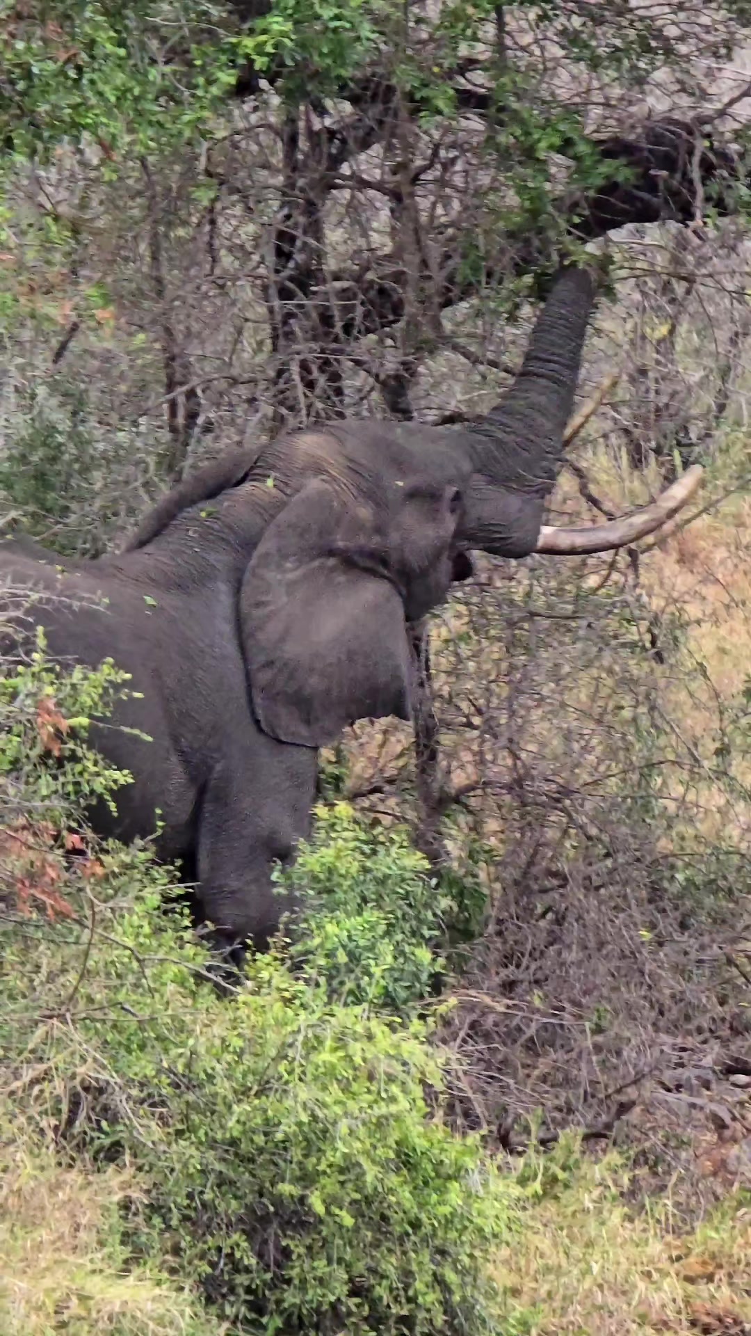 @KPS Safaris and Tours