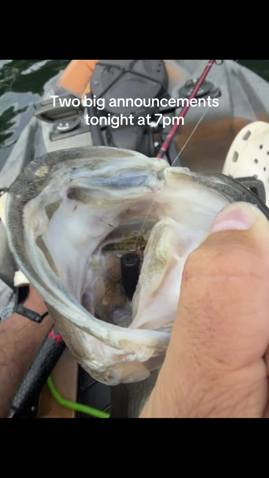 @wildbillfishing