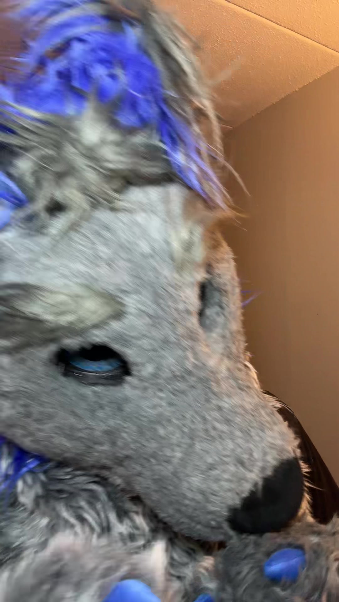 @ph0toshoot