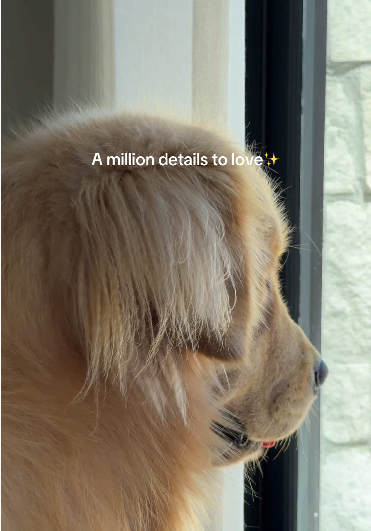 @Maui, Ruby +Hugo