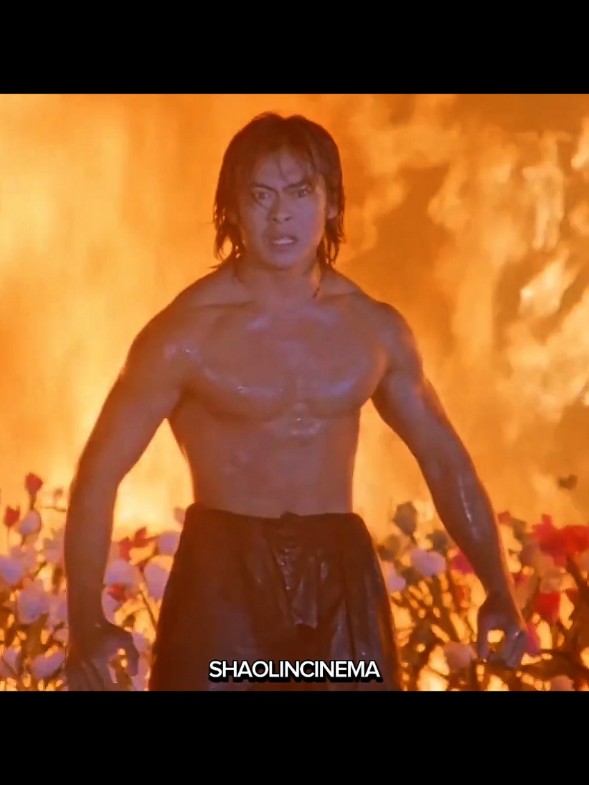 @Martial Arts Cinema