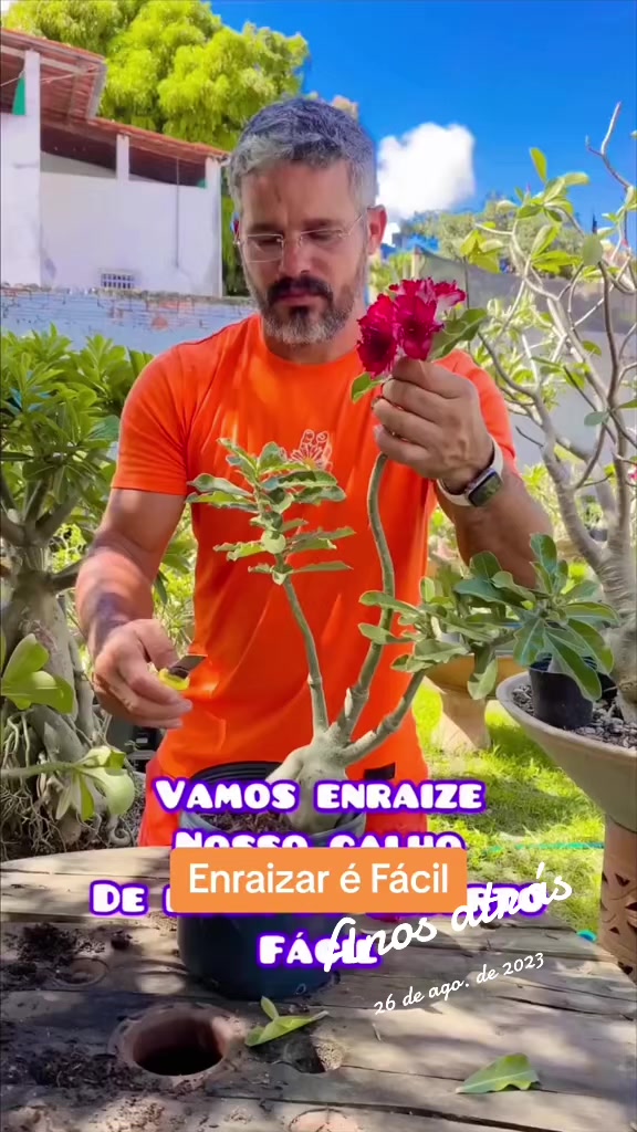 @Eugenio Amante de Rosas