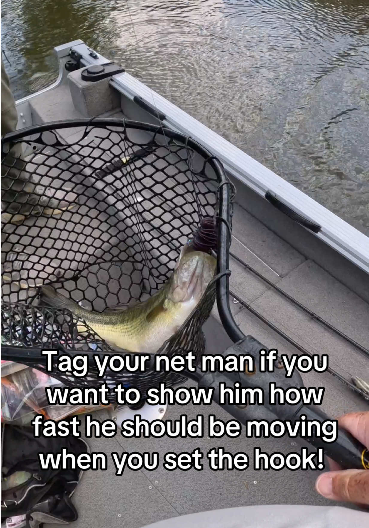 @Tacklehead Fishing