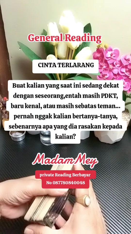 @🇲🇨MADAM MEY🇲🇨
