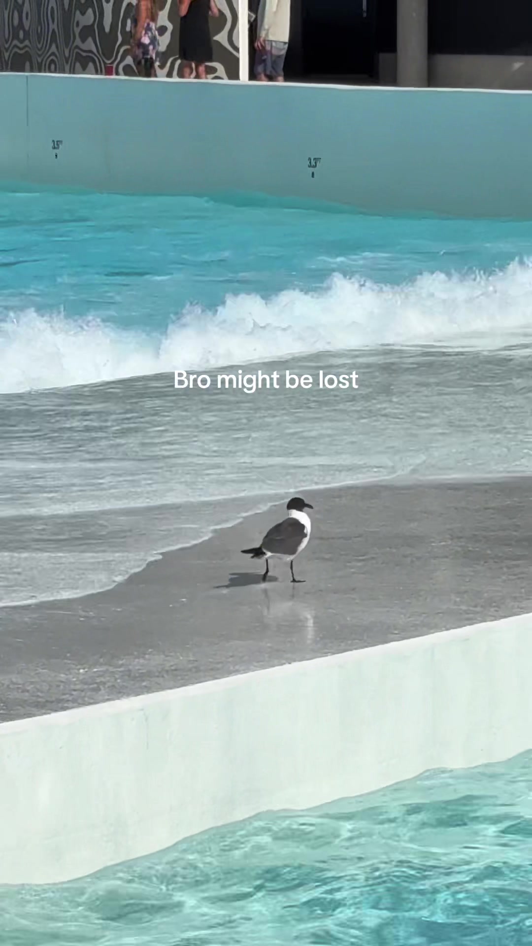 @Jay