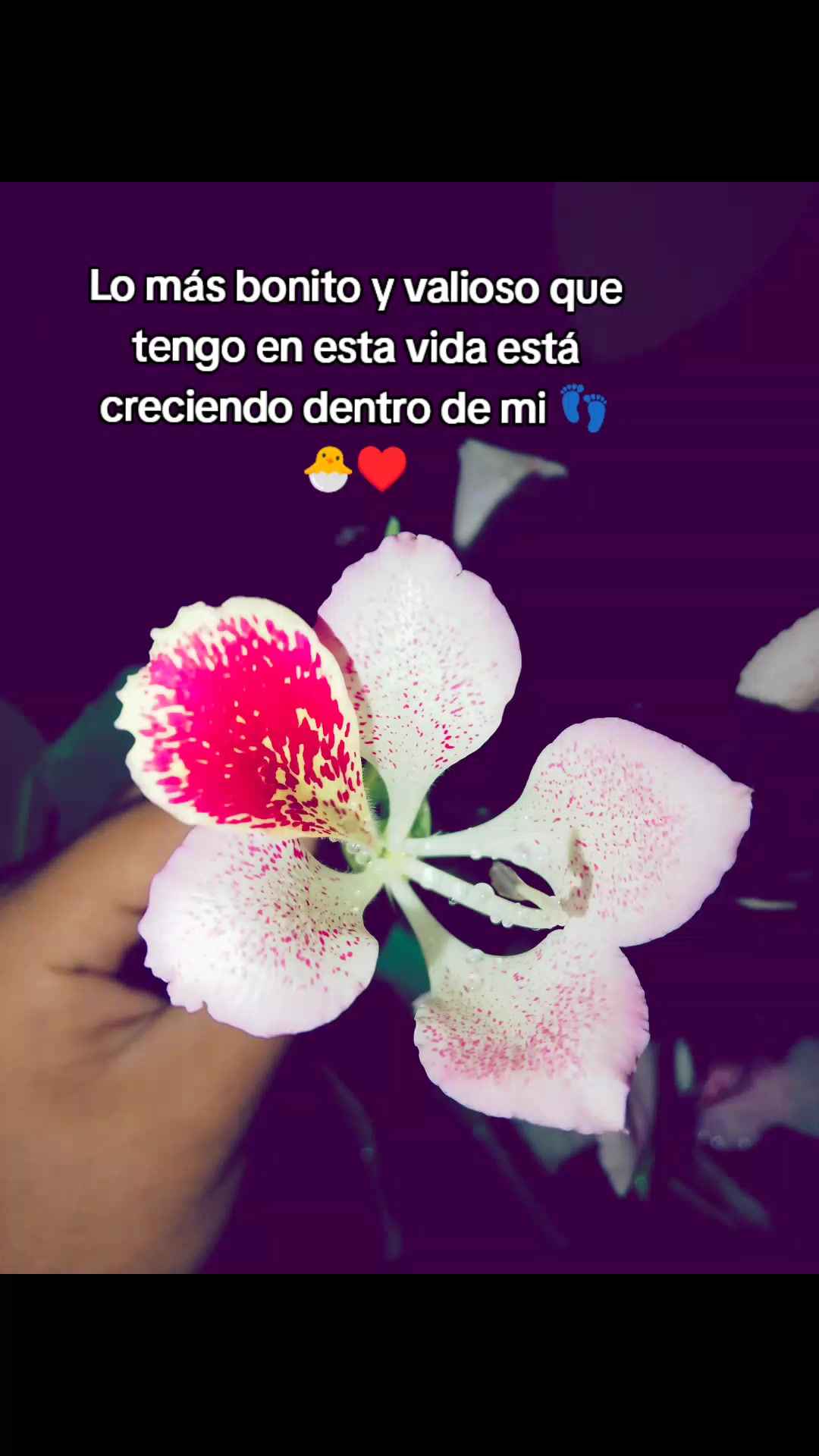 @✨🌷🌷Yulemi 🐥🌷🩹