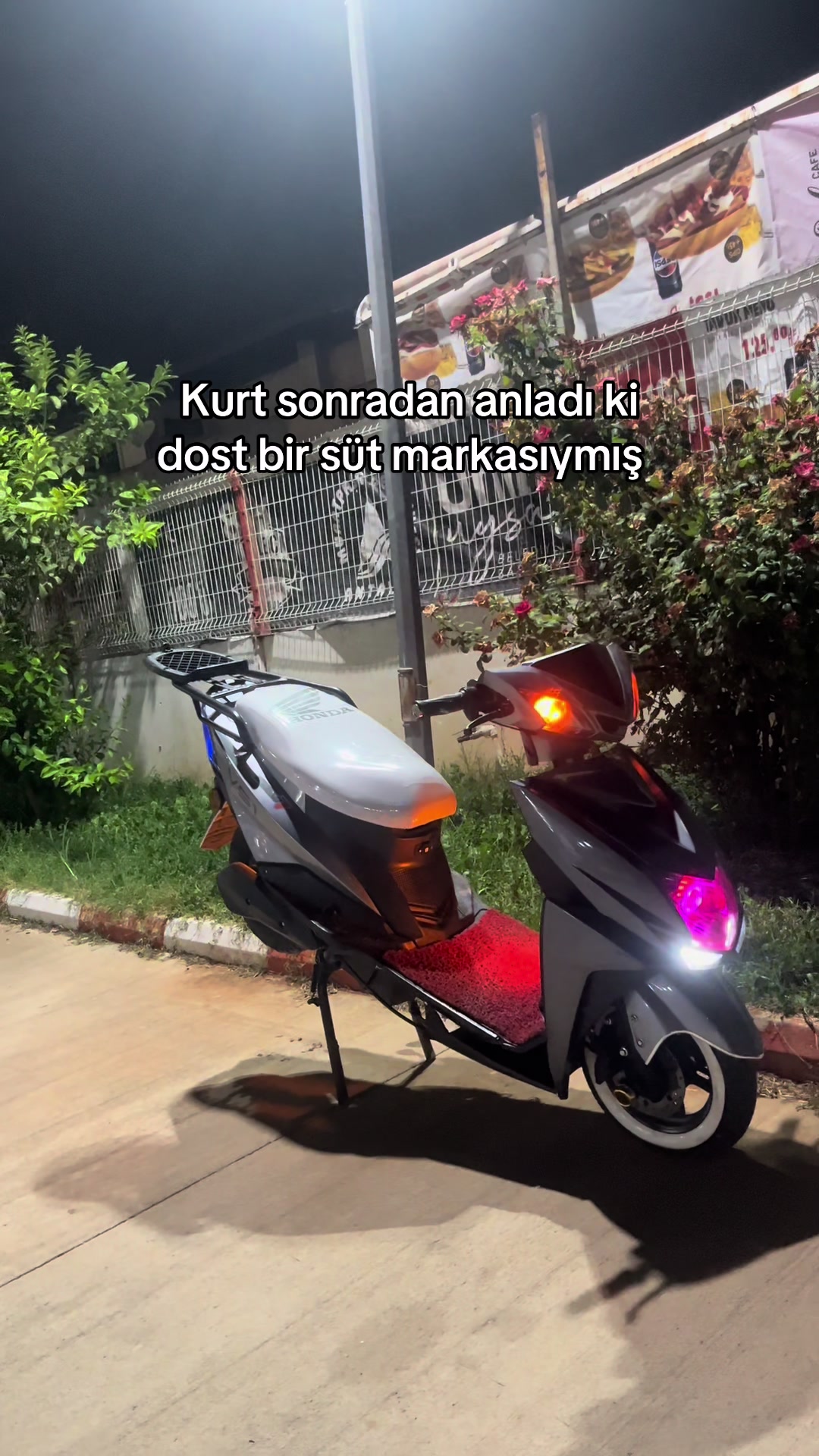 @ANT MOTOR