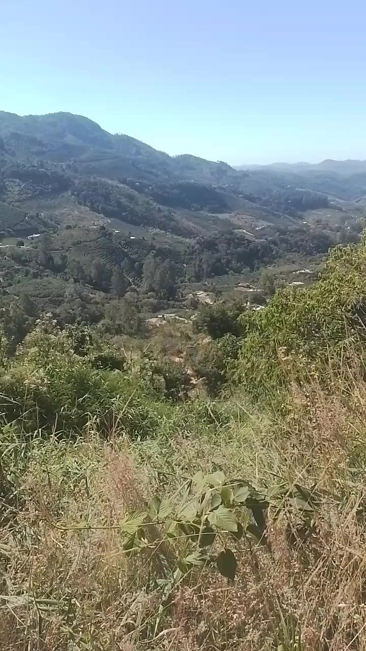 @Dr Vinícius Ribeiro| Psicólogo