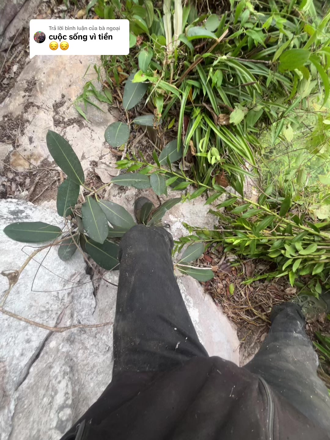 @LÍU 🇻🇳☣️