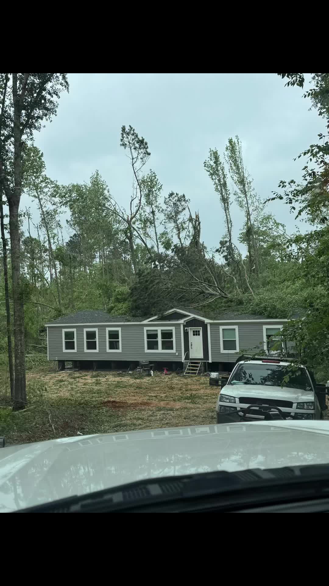 @CSR Tree Service, LLC.