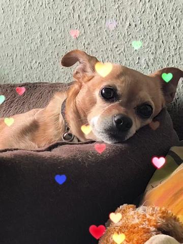 @🏳️🌈Kathi❤️Milow🐕❤️