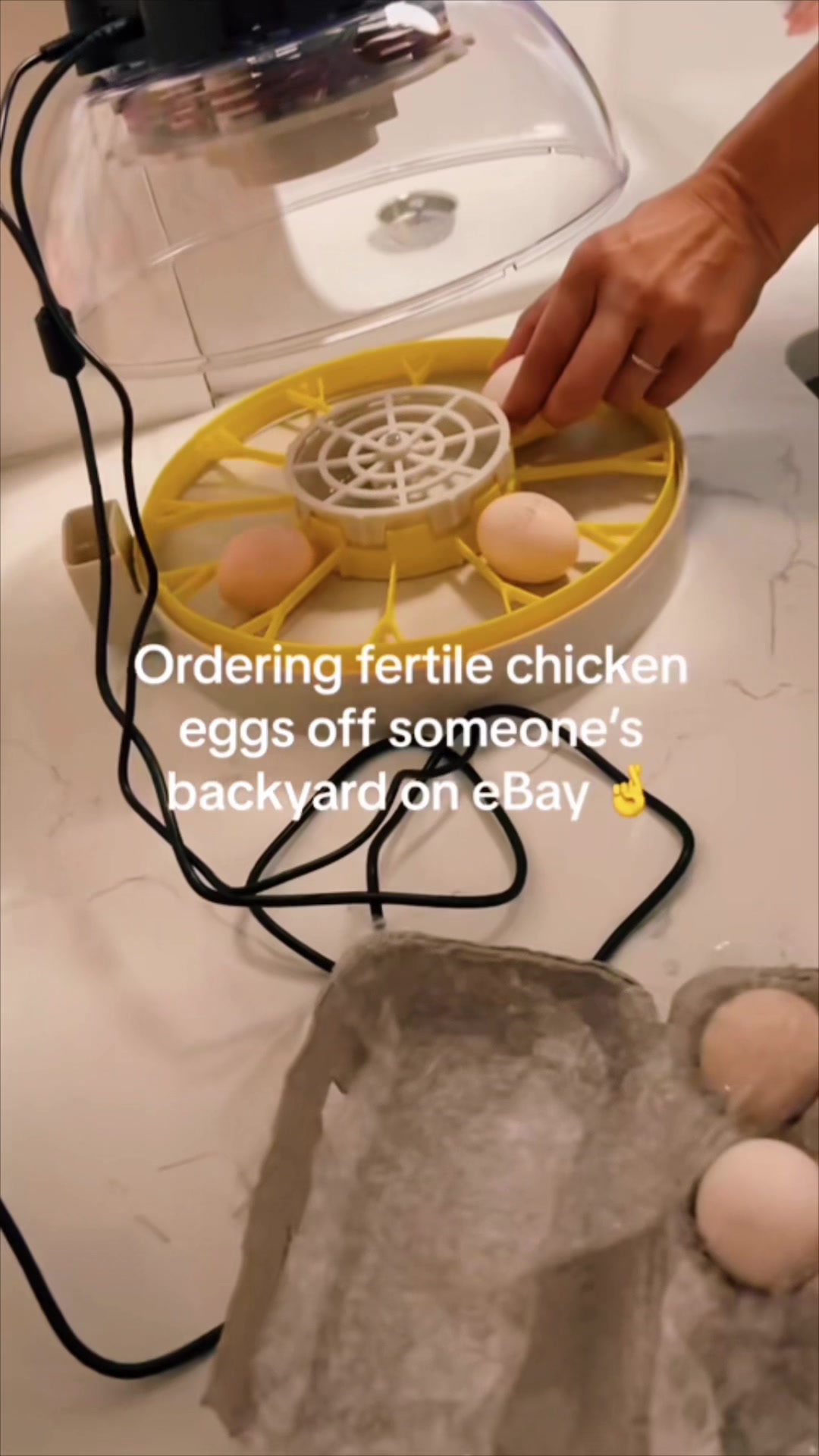 @Melissa Ferguson