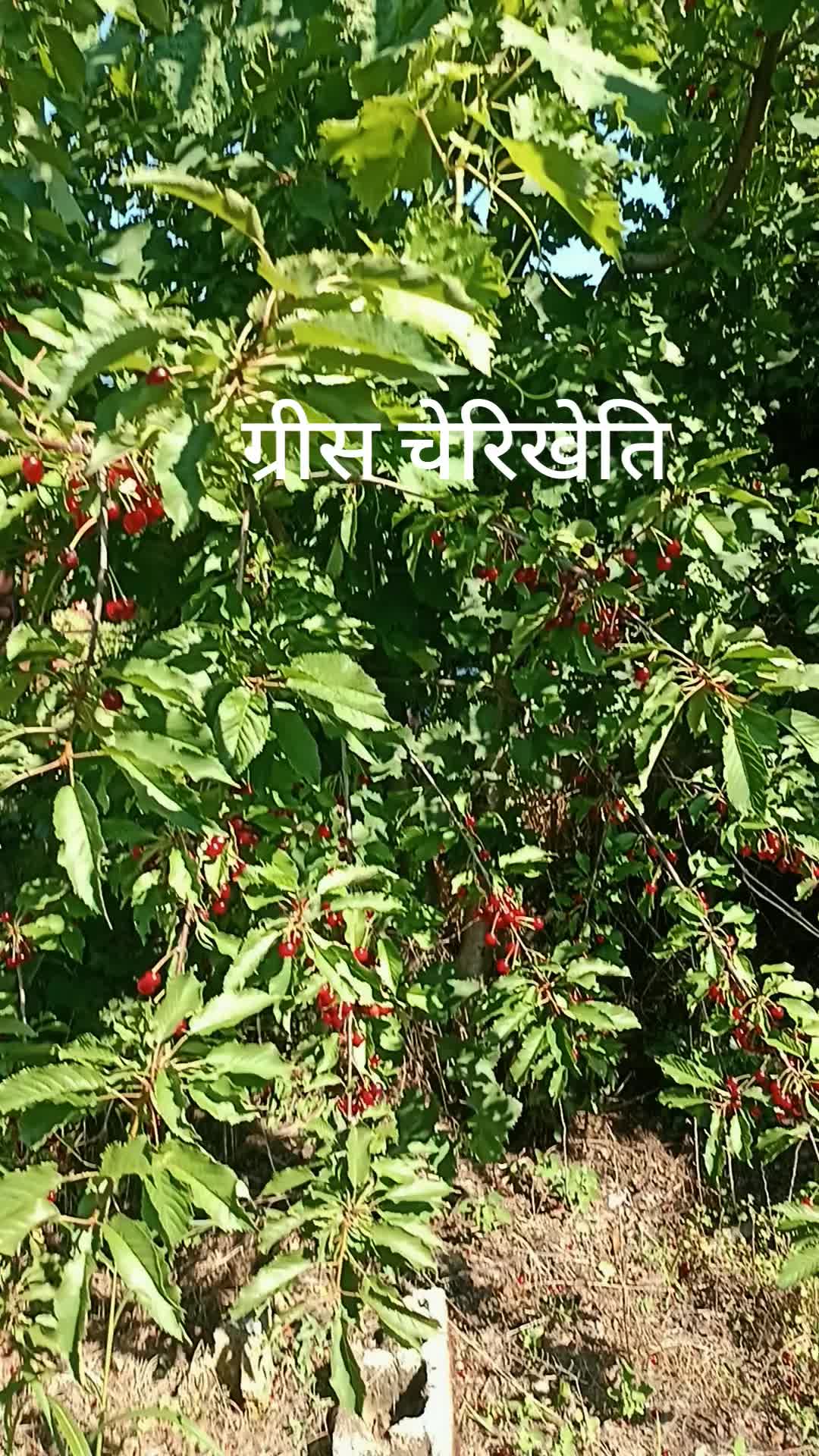 @Ashok thakur