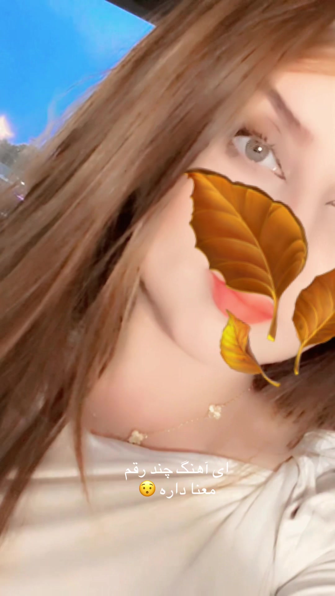 @🎀«پیشوگک»🎀