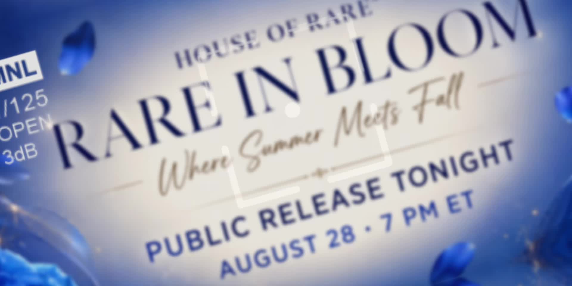 @houseofrarefashion