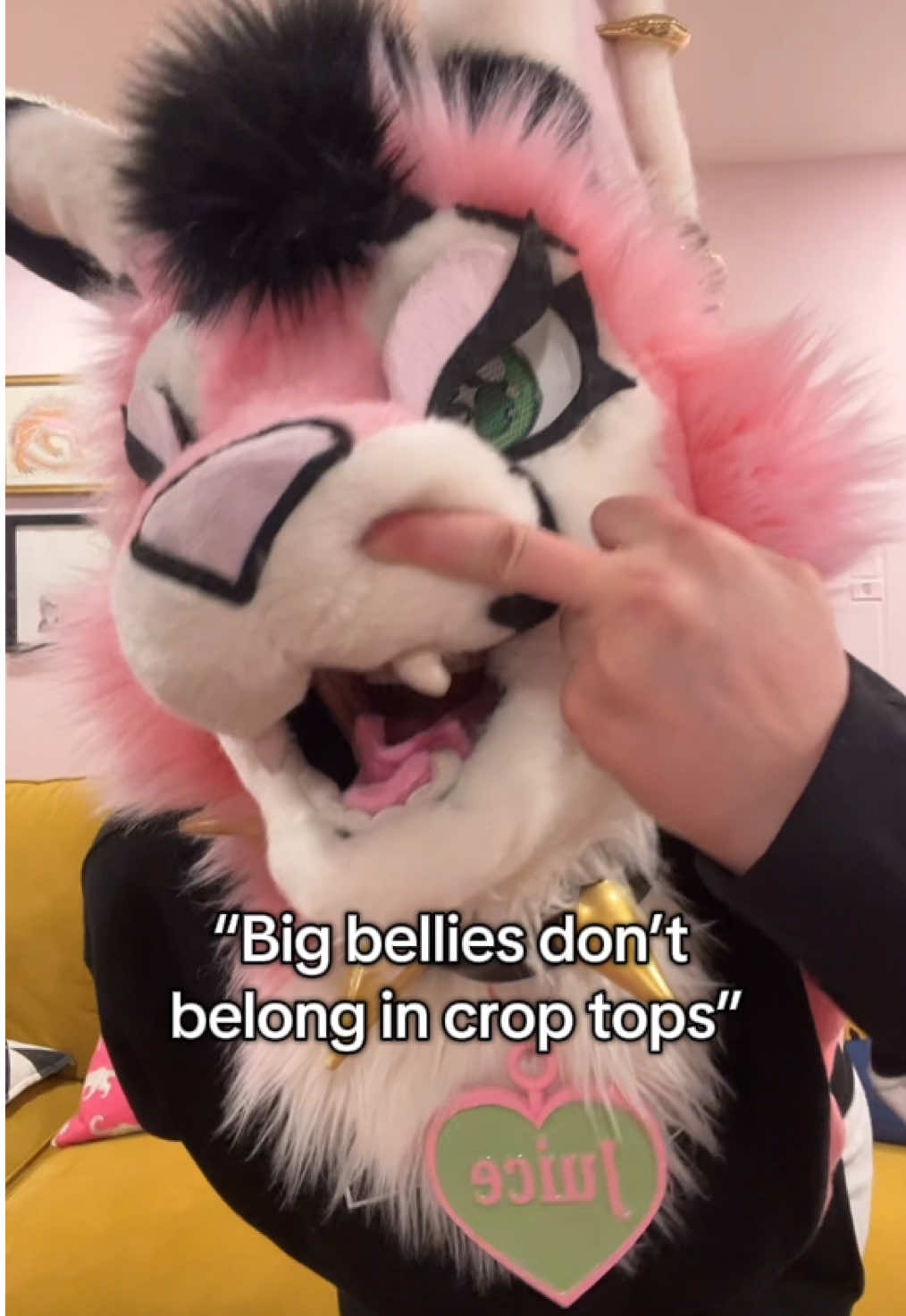 @Juice the Caracal