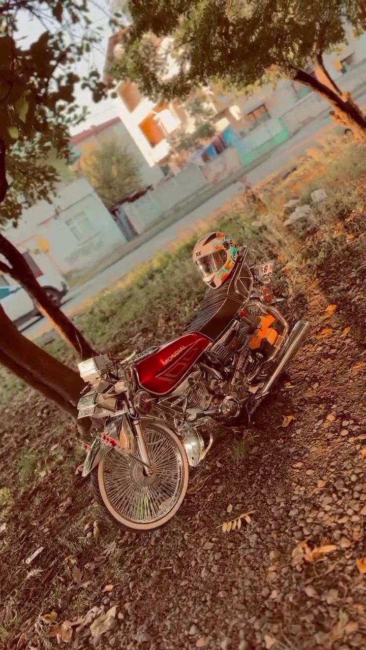 @eemr_tsn
