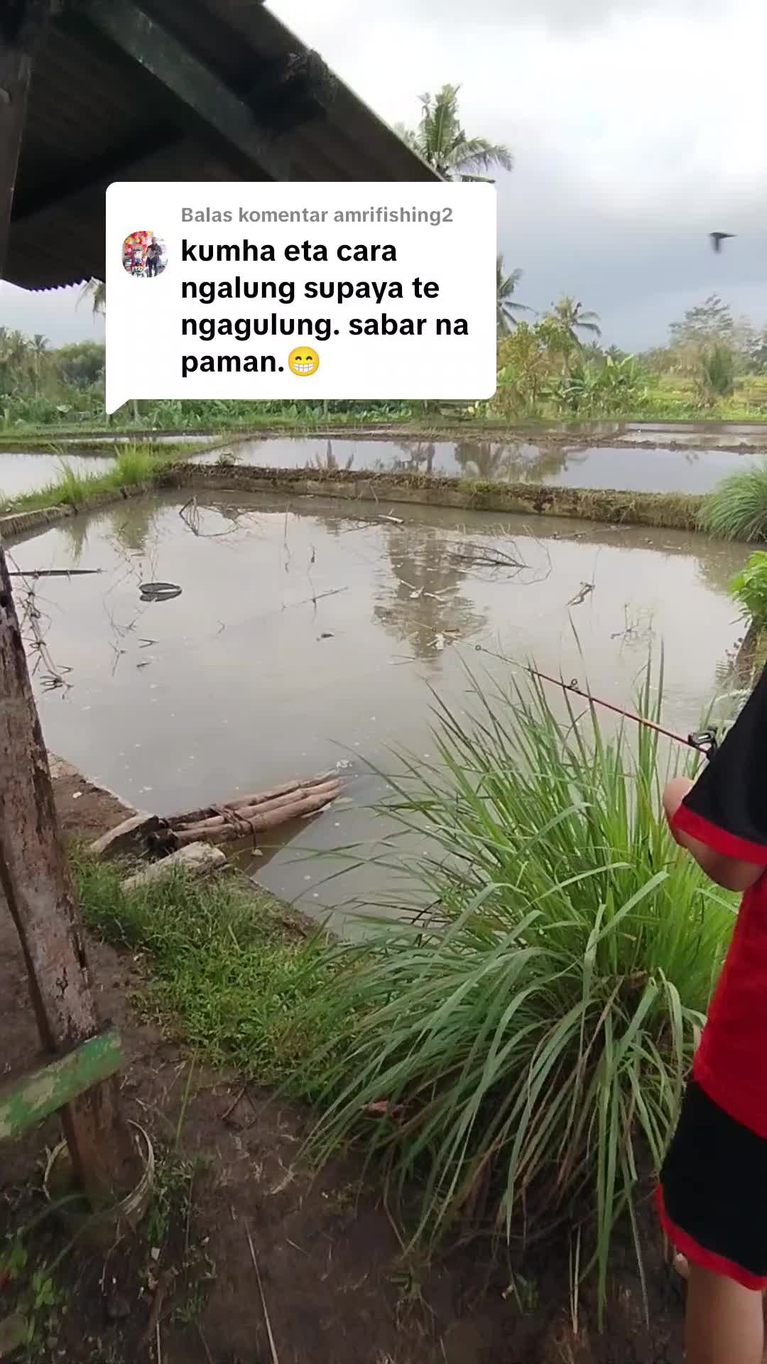 @Mang icaL