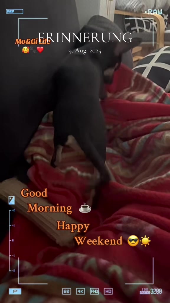@Mo&Gi Life 🐾❤️🥰