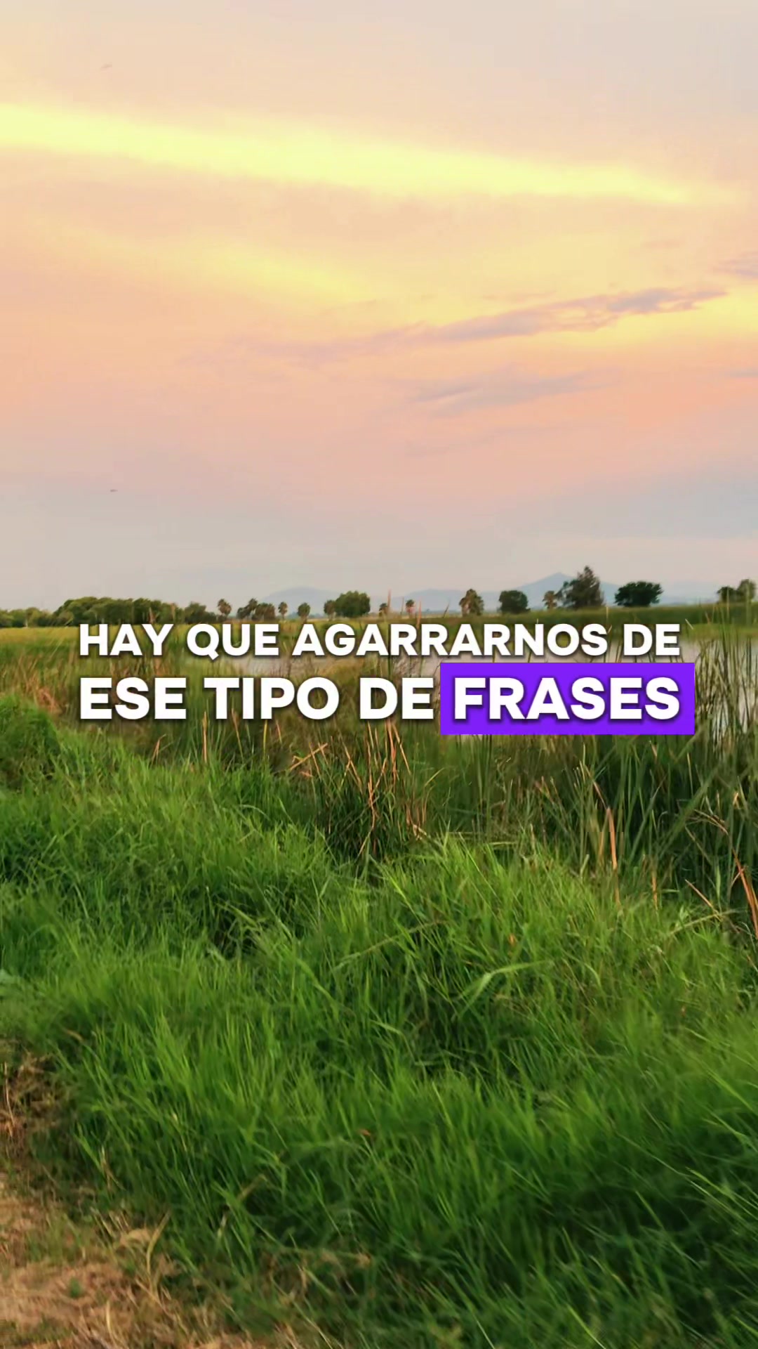 @DANY ALEX