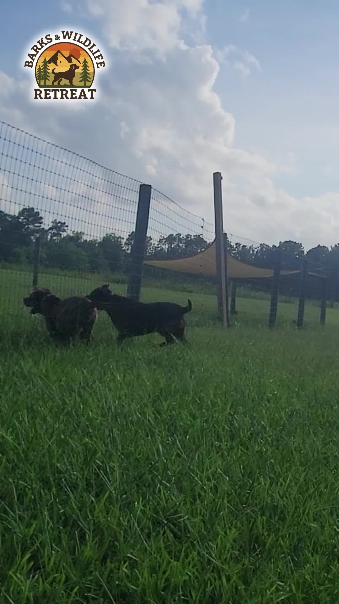 @Barks & Wildlife Longville LA