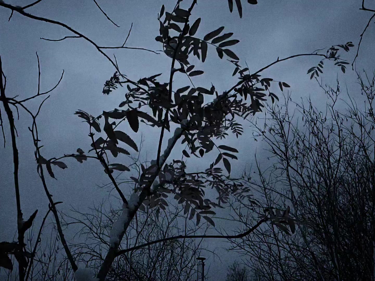@𝖁𝖆𝖒𝖕𝕸𝖆𝖝𝖎𝖊𓂀♡❀