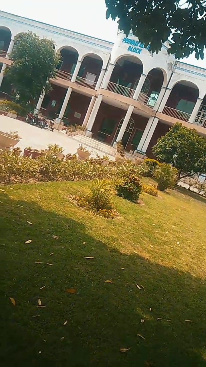 @syedshoaib