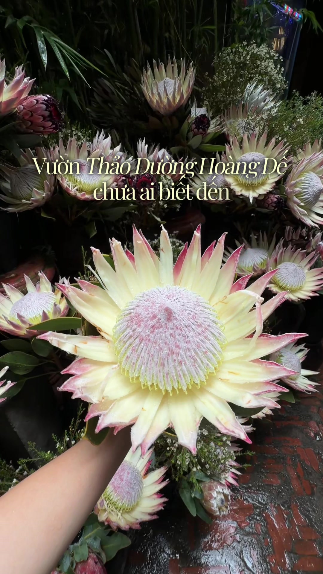 @Kita nèeee 💁🏻♀️