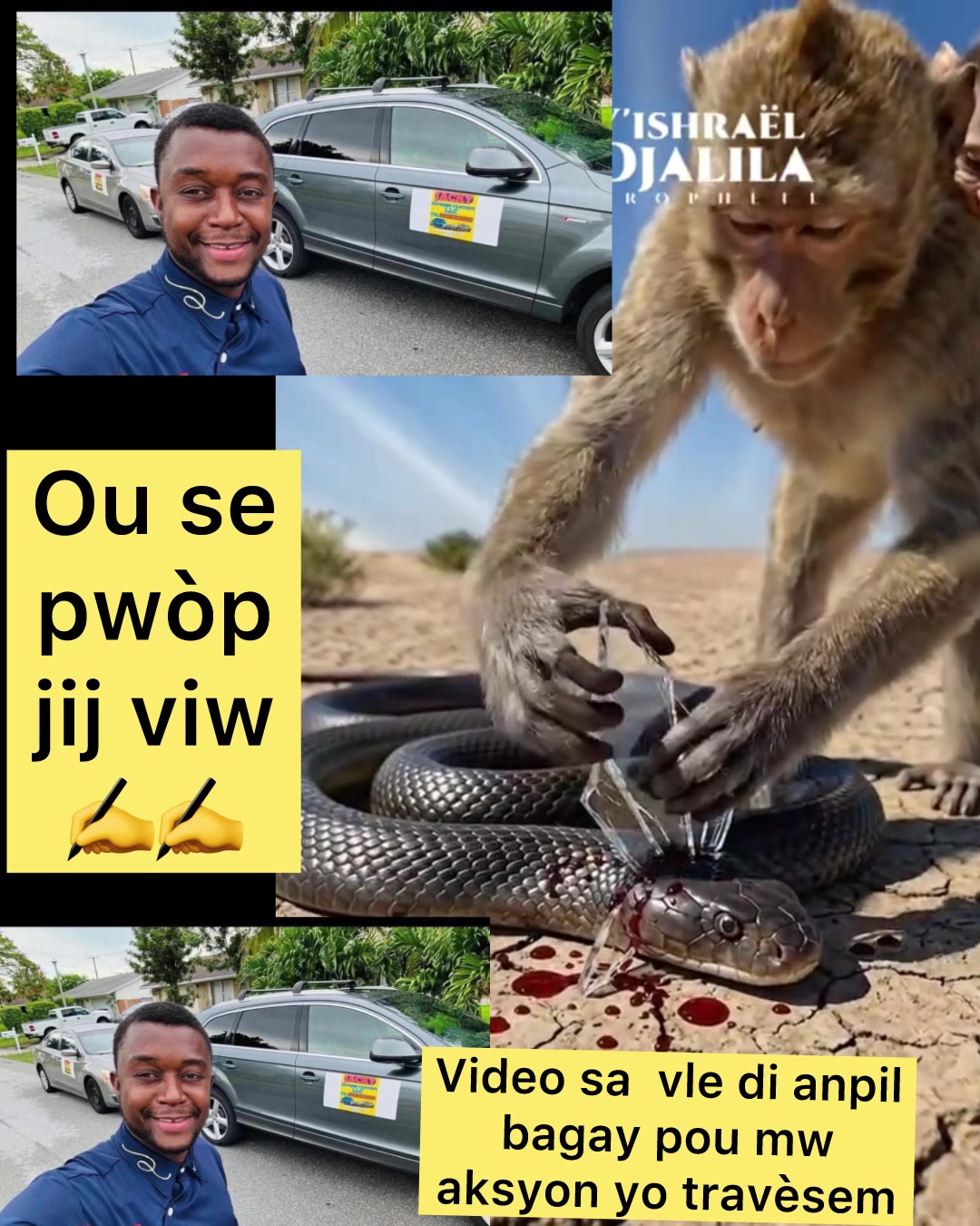 @Jacky 1804
