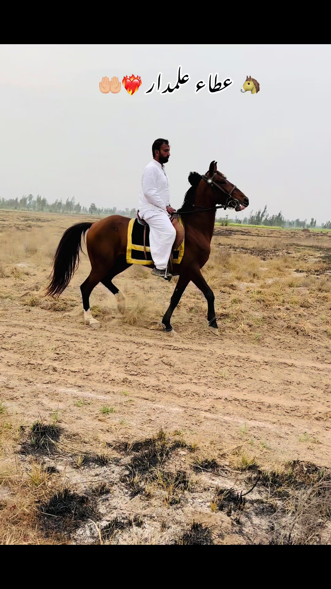 @Syed Ali Raza Sherazi