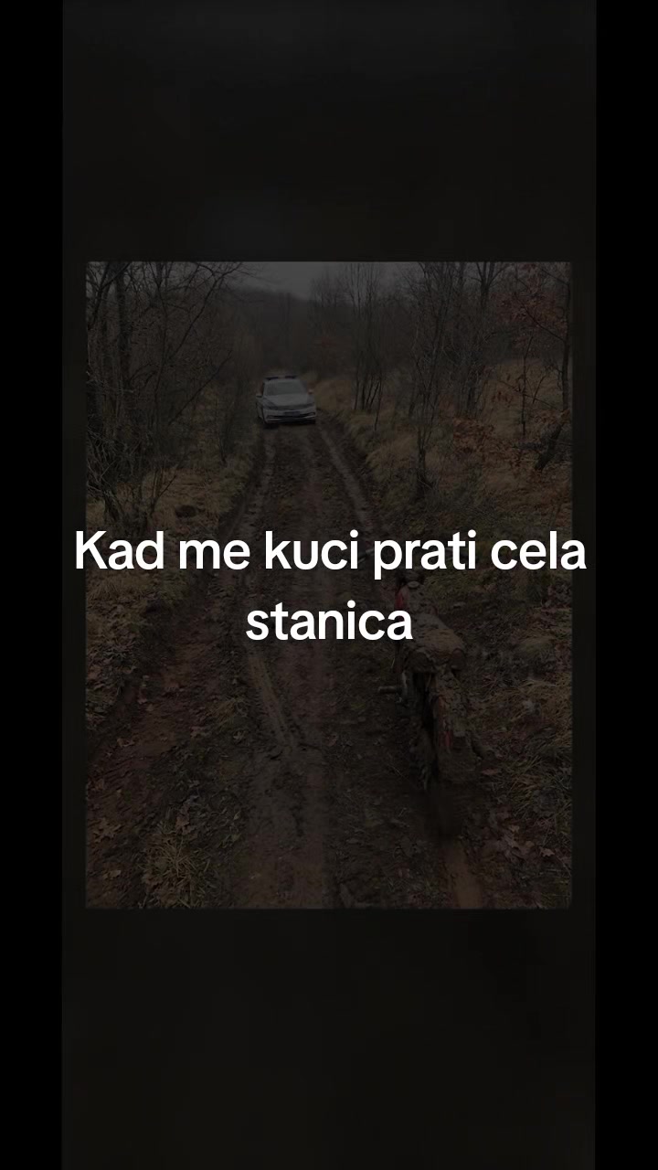 @aleksandar Stankovic