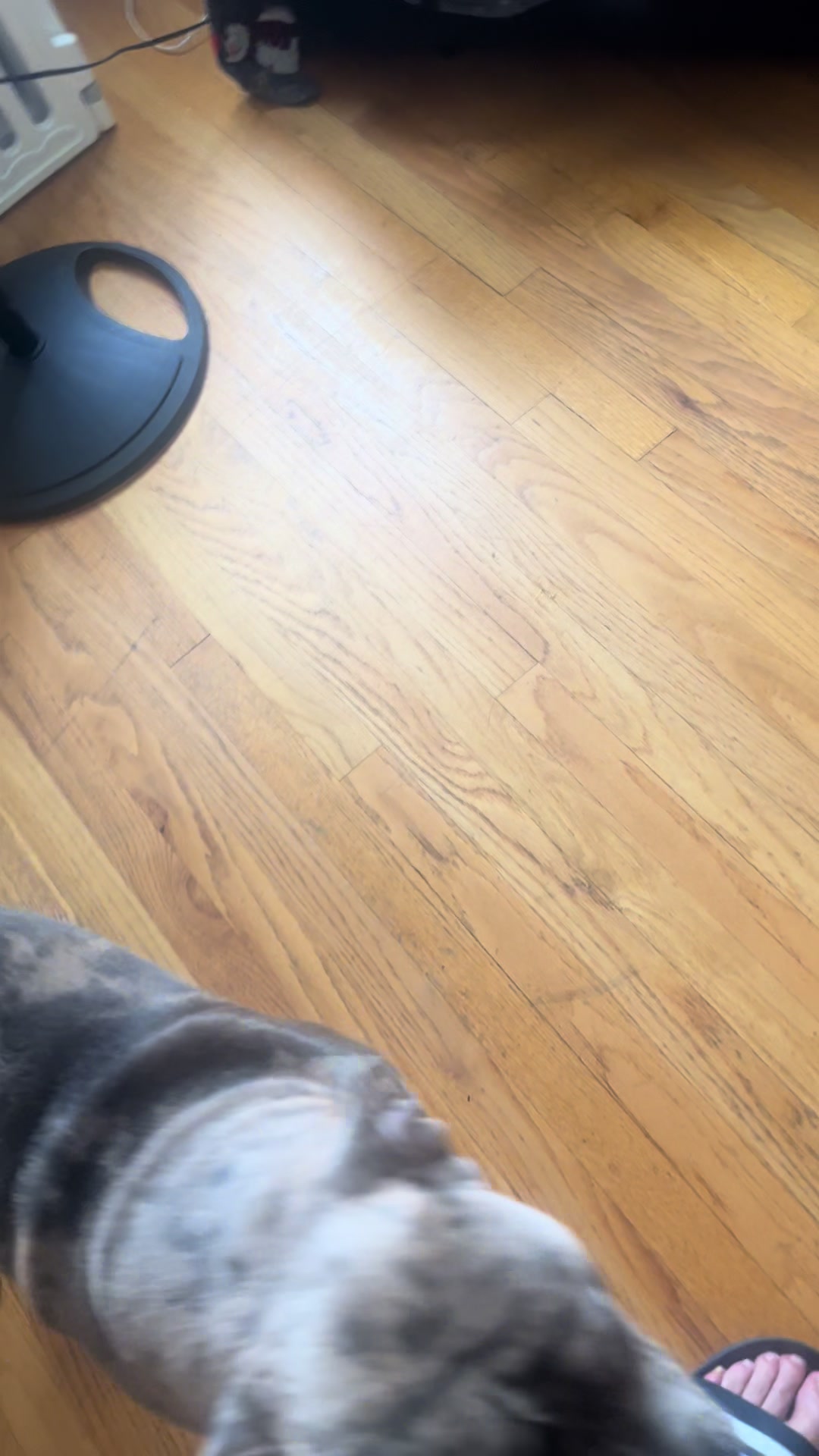 @georgetack6